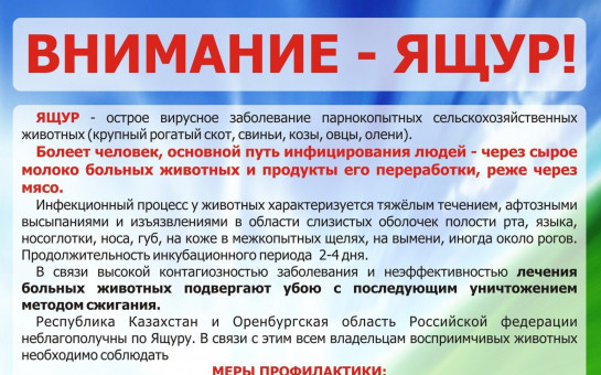 ВНИМАНИЕ -  ЯЩУР